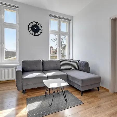 Blue Mandarin Iii Haffnera *